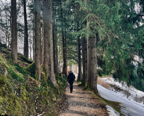 Auf dem Weg zur Streichenkapelle