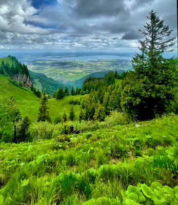 Blick zum Chiemsee