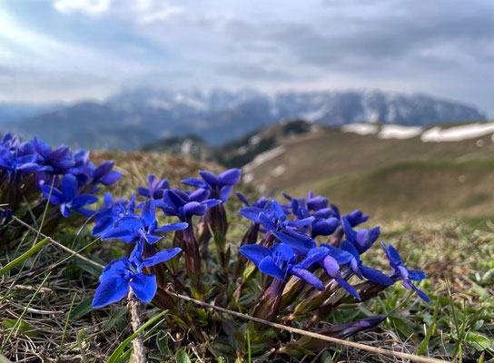 Schusternagerl an der Wandberghütte