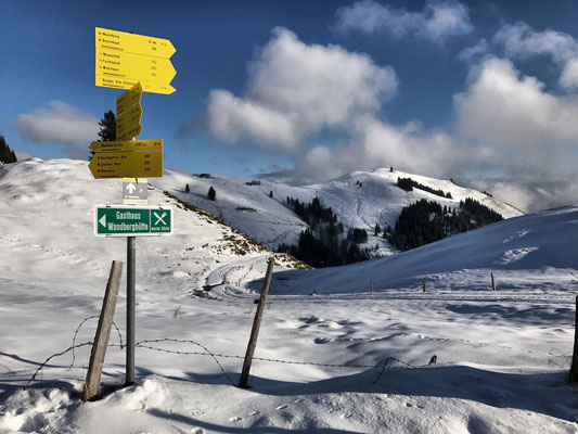 Kurz vor der Wandberghütte