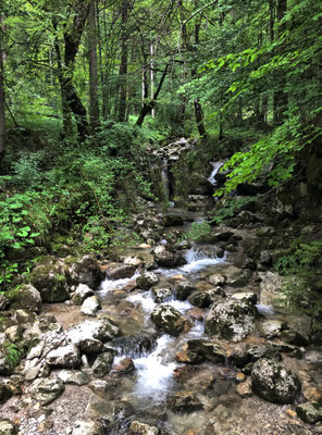 Bach im Wald beim Aufstieg