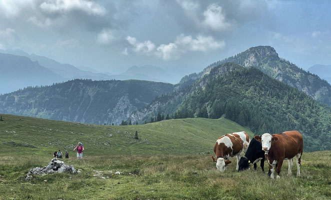 Auf dem Weg zum Zinnenberg