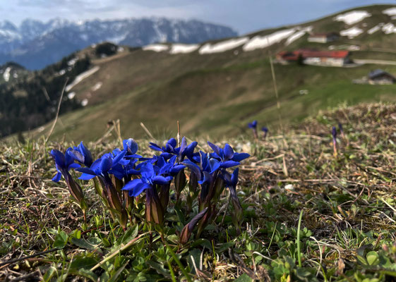 Schusternagerl an der Wandberghütte
