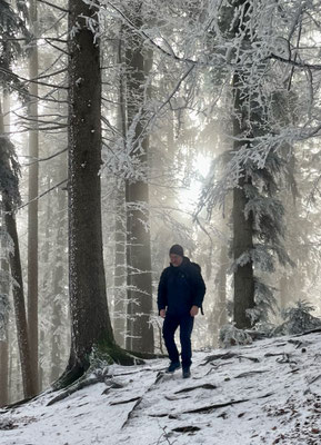 Winterlicher Bergwald
