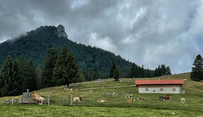 Blick zum felsigen Gipfel des Friedenrath