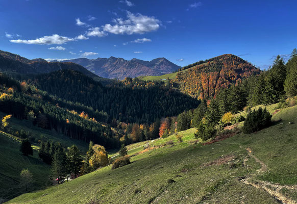 Blick zurück beim Aufstieg auf den Erlbergkopf