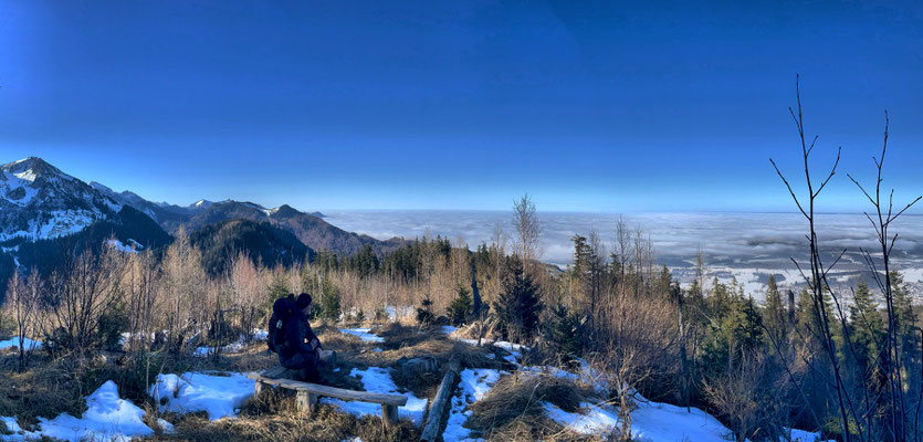 Aussicht vom Scheichenberg