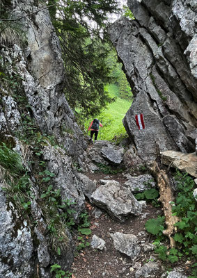 Aufstieg zum Sattel zwischen Breitenstein und Geigelstein