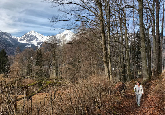 Kurz vor der Haideralm
