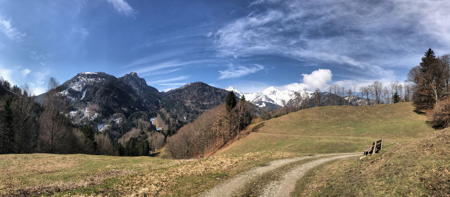 Panorama