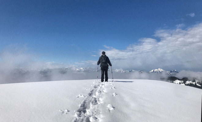 Blick ins Wolkenmeer