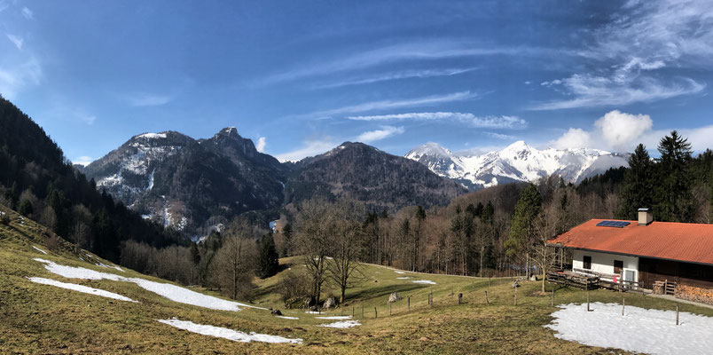 Panorama