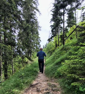 Auf dem Weg zur Vorderalm