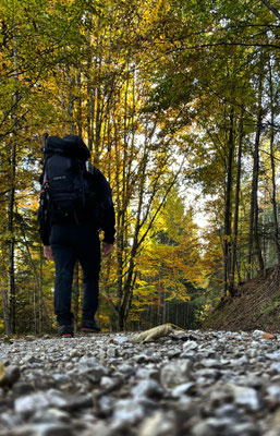 Unterwegs im Herbstwald