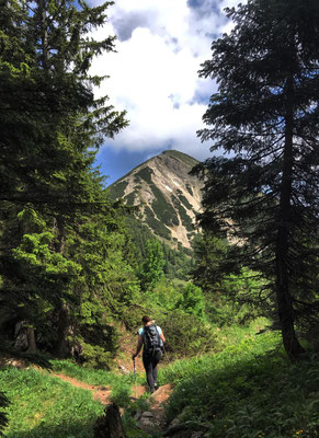 Den Geigelstein im Blick