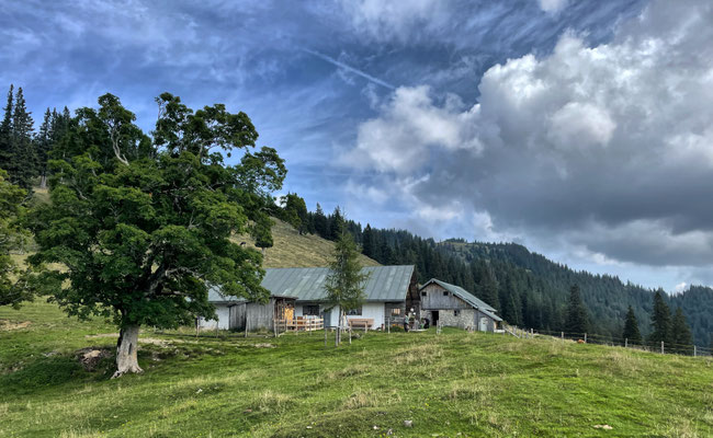 Hofbauernalm