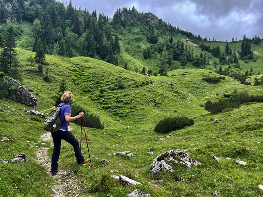 Den Gipfel des Karkopf schon im Blick