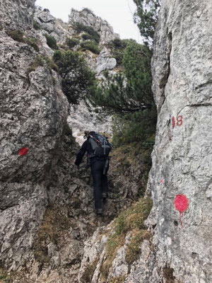 Abstieg in den Sattel zwischen Spitzstein und Brandelberg