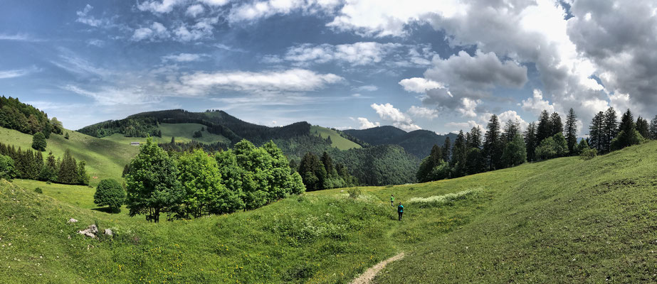 Über Almwiesen zur Steinbergalm