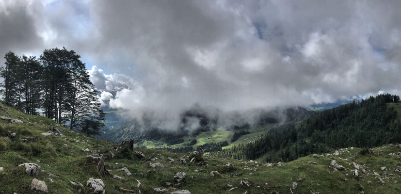 Abstieg Richtung Naringalm