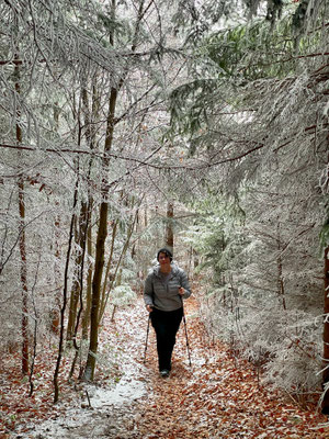 Schmaler Pfad durch den Bergwald