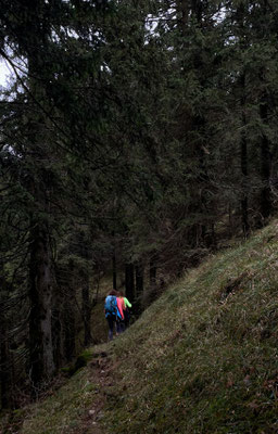 Der Pfad führt in den Bergwald