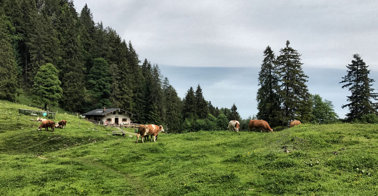 Staudacher Alm