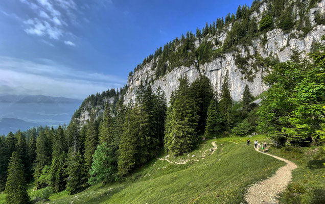 Zwischen Spitzstein und Brandelberg