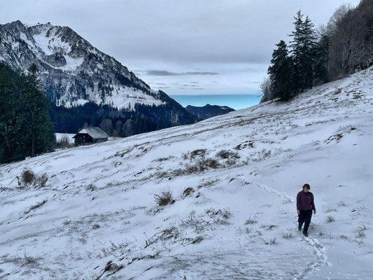 Auf dem Weg zum Scheichenberg