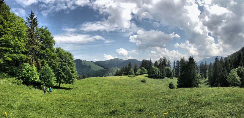 Über Almwiesen zur Steinbergalm