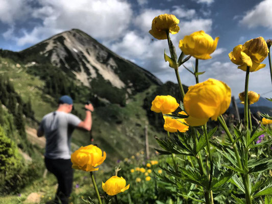 Abstieg in den Sattel zwischen Breitenstein und Geigelstein