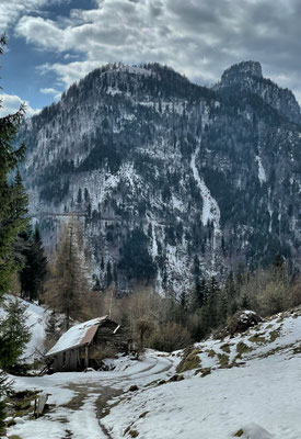 Kurz vor der Schrottwiesalm