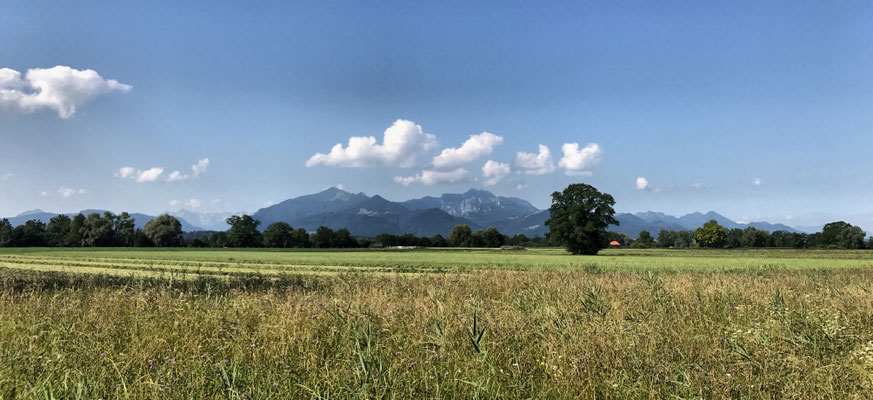 Blick über die Felder in die Berge