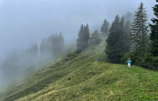 Abstieg zur Karalm