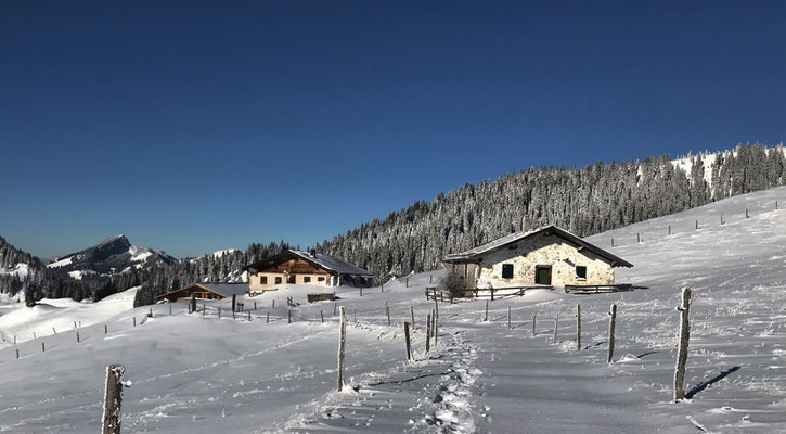 Lochner-Alm
