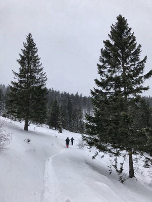 Auf den Weg von der Frasdorfer Hütte zur Winterstubn