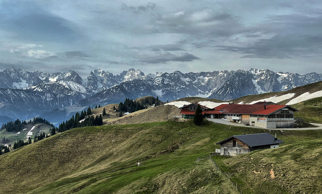 Blick zur Burgeralm mit dem Kaisergebirge im Hintergrund