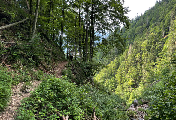 Auf dem Weg zum Lochner Wasserfall