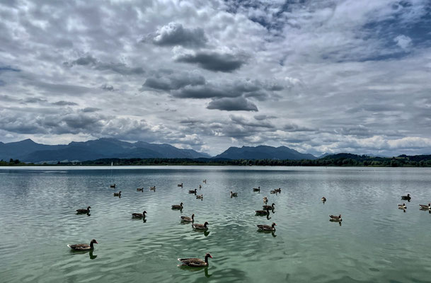 Blick über den Chiemsee