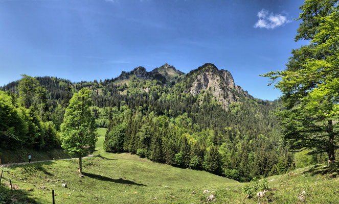 Auf dem Weg