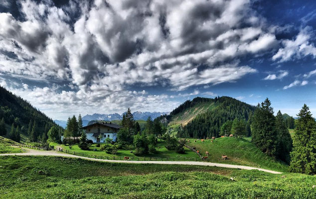 Sommerlicher Blick von der Priener Hütte zurück