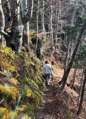 Von der Streichenkapelle Abstieg Richtung Bäckeralm