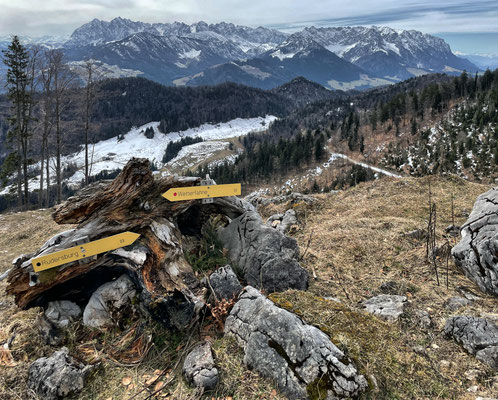 Wegweiser zur Wetterfahne