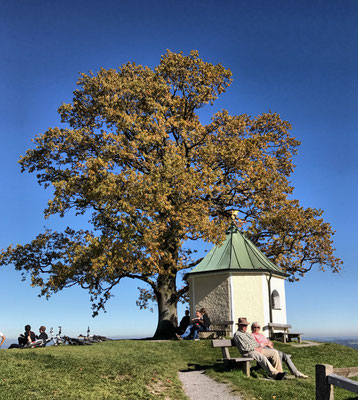 Aussichtskapelle Samerberg mit der Luitpoldeiche
