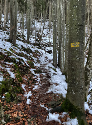 SalzAlpenTour Markierung