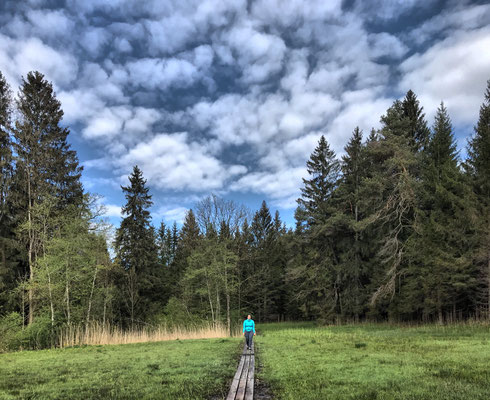 Naturlehrpfad Samerberger Filze
