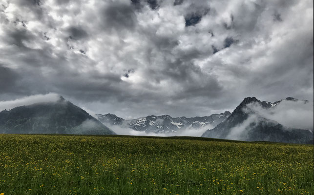 Blick über die Sommerwiese in den Kaiser