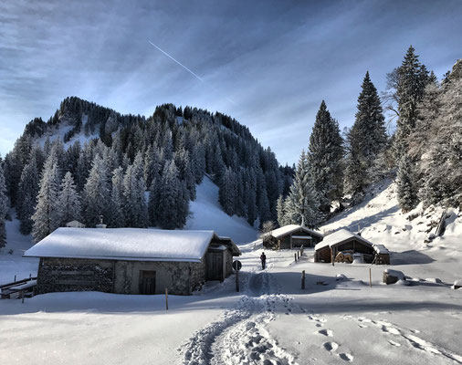 Laubensteinalm im Winter