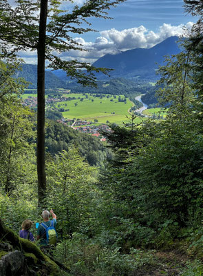 Aussicht im Bergwald Richtung Wuhrsteinalm