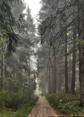 Auf dem Weg zur Hofbauernalm